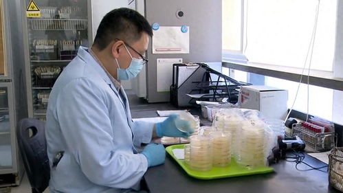 17年上海3人吃蛋糕,一死一傷一人卻沒事,報(bào)警調(diào)查發(fā)現(xiàn)不簡(jiǎn)單